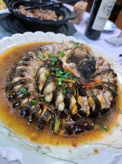 盤龍魚圖片欣賞