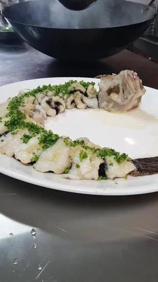 盤龍魚圖片欣賞