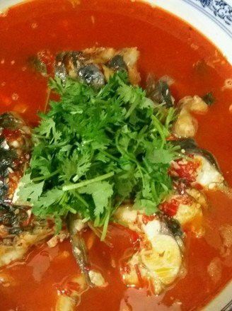 盤龍魚圖片欣賞