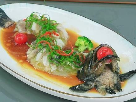 盤龍魚圖片欣賞