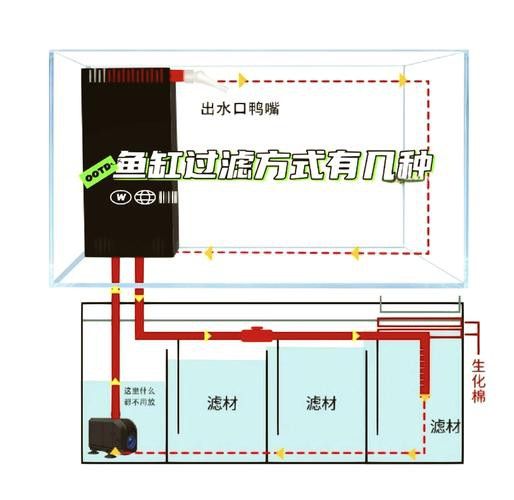 西龍魚缸怎么樣排水