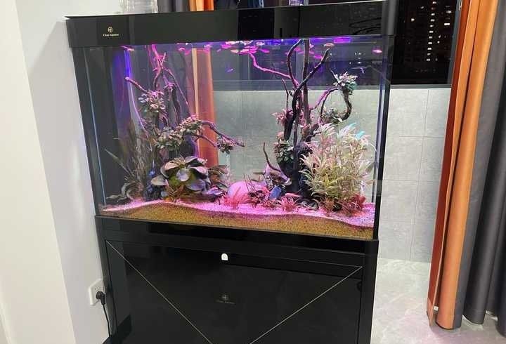 西龍魚缸怎么樣排水