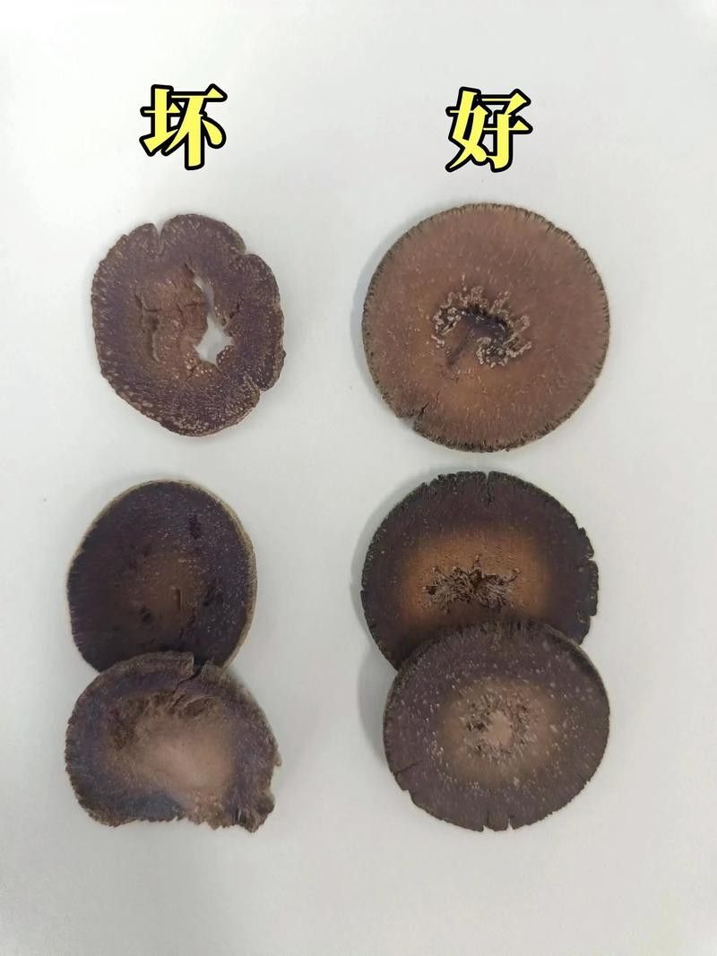 紅龍魚(yú)級(jí)別怎么分的圖片