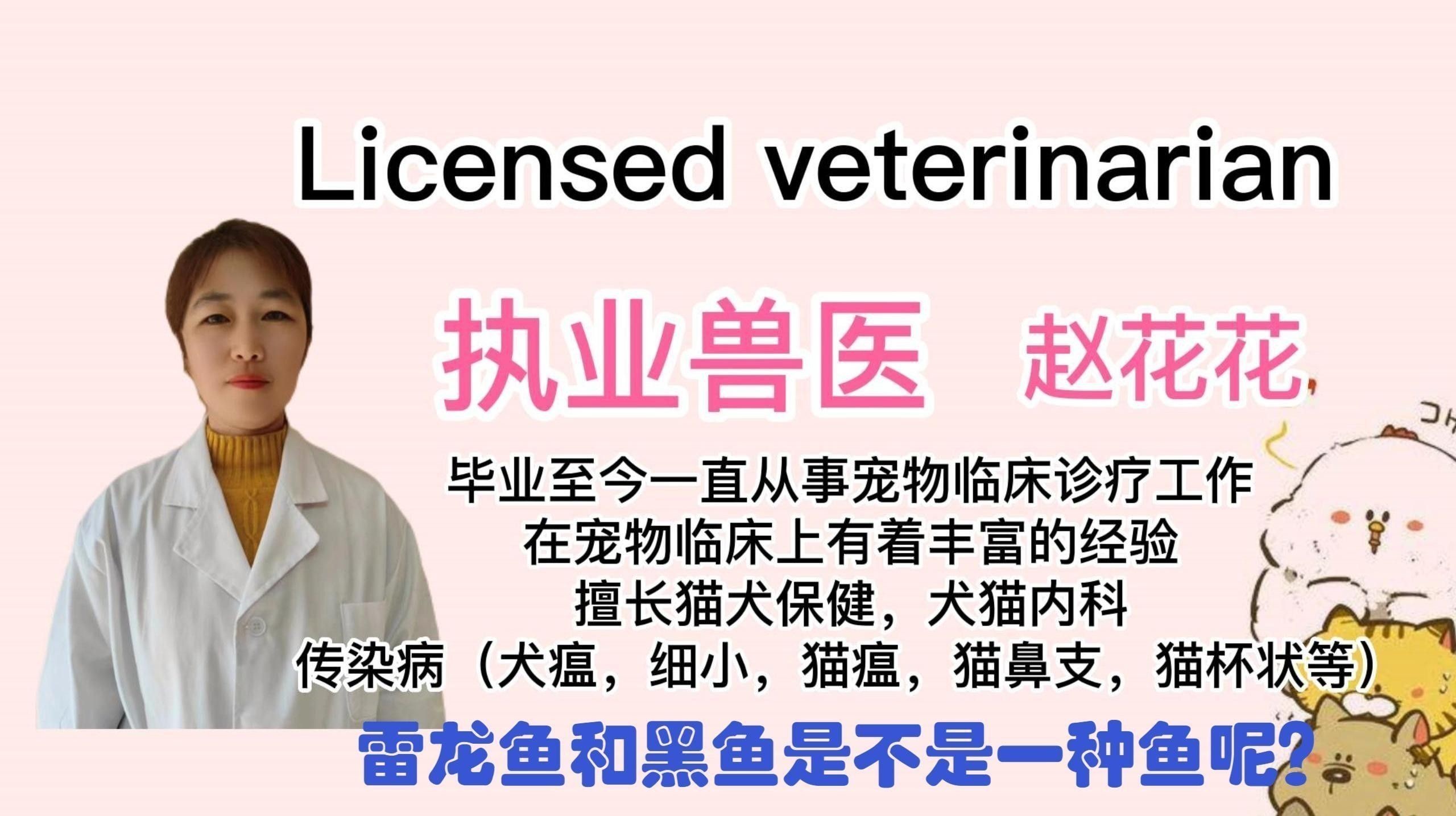 龍魚和黑魚是親戚嗎