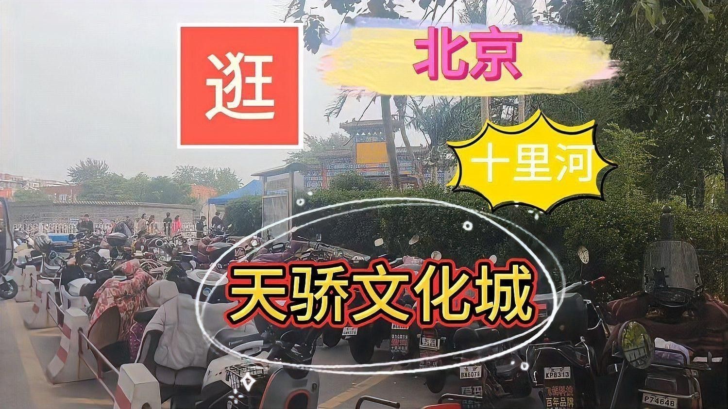 北京哪里有賣龍魚的地方
