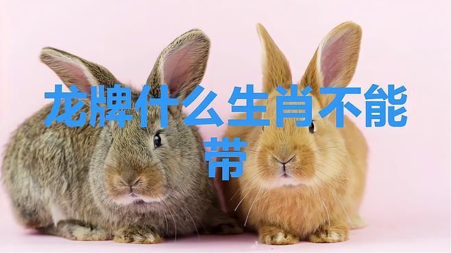 龍牌吊墜什么人不能戴