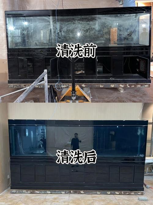 如何選擇適合金龍魚缸的清潔工具? 龍魚百科 第5張 如何選擇適合金龍魚缸的清潔工具? 如何選擇適合金龍魚缸的清潔工具? 龍魚百科 第5張