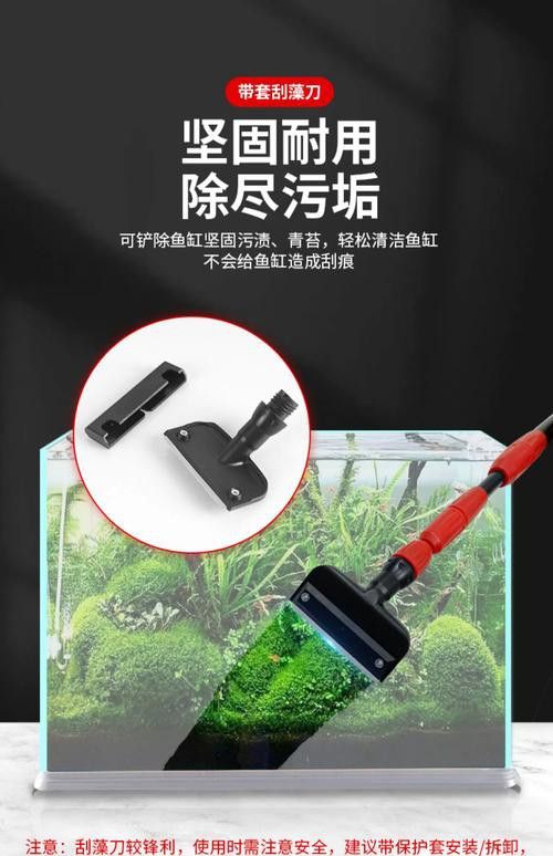 如何選擇適合金龍魚缸的清潔工具? 龍魚百科 第6張 如何選擇適合金龍魚缸的清潔工具? 如何選擇適合金龍魚缸的清潔工具? 龍魚百科 第6張