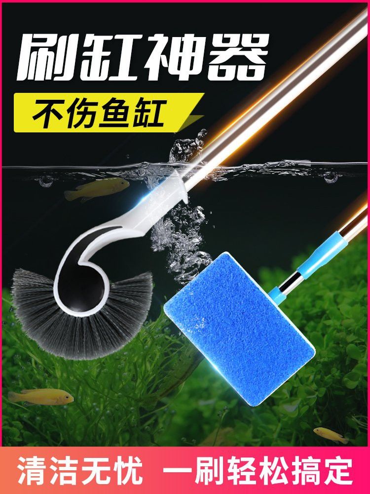如何選擇適合金龍魚缸的清潔工具？ 如何選擇適合金龍魚缸的清潔工具？ 龍魚百科 第16張