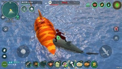 紅龍魚背景用什么顏色好看（紅龍魚的背景顏色選擇）