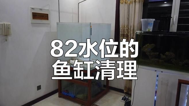 二手魚缸水族箱龍魚缸一米五魚缸一米二魚缸一米八魚缸