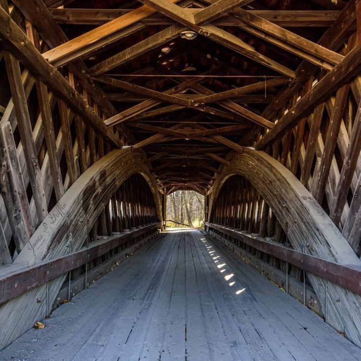 九魚圖最忌三種屬相