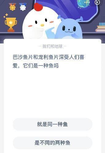 巴沙魚片和龍魚片是一種魚嗎