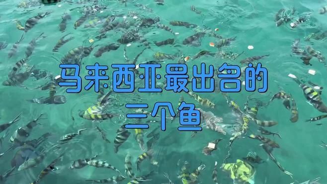 馬來西亞必吃十大魚