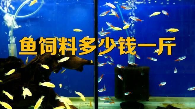 魚飼料價(jià)格與效果關(guān)系