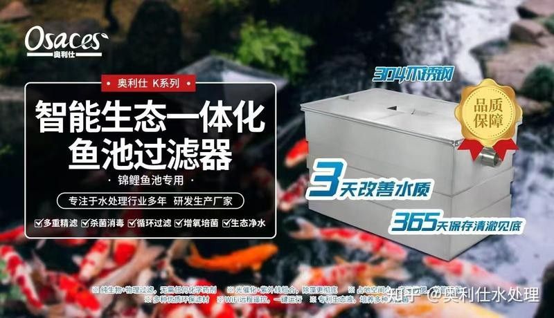 龍魚和錦鯉混養(yǎng)需要什么樣的過濾系統(tǒng)？