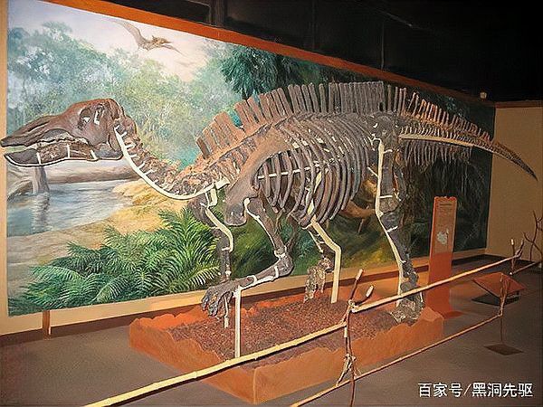 帝龍與哪些恐龍關系近？