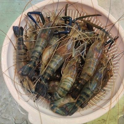 龍魚海鮮，如何正確烹飪龍魚保留營養？