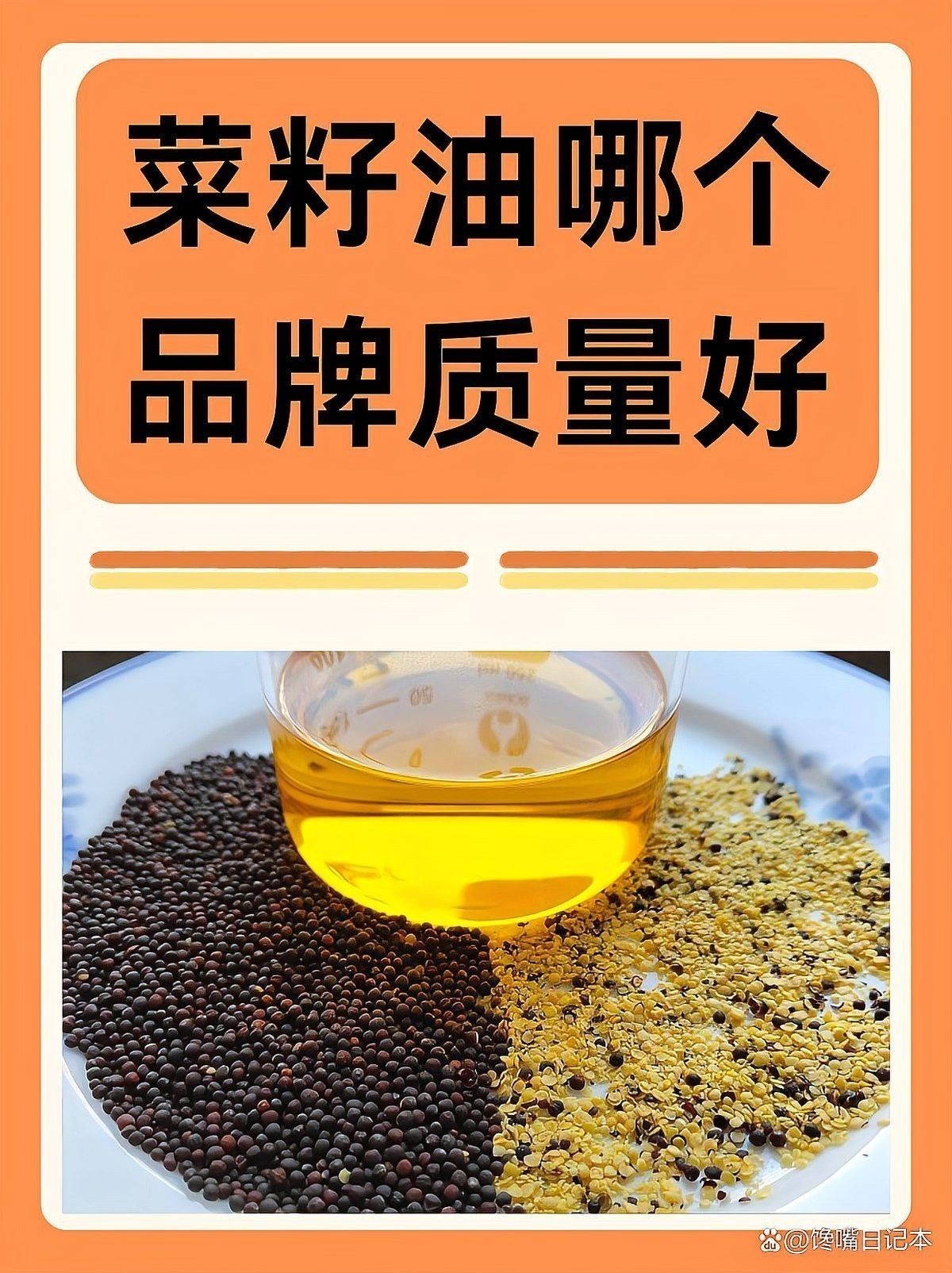道道全好還是金龍魚(yú)好