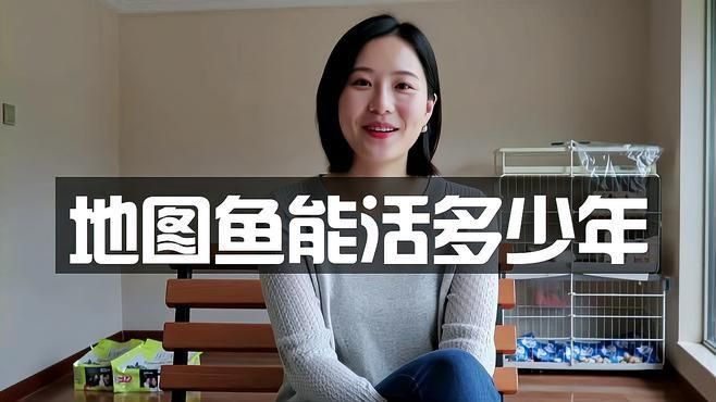 養了二十年的地圖魚