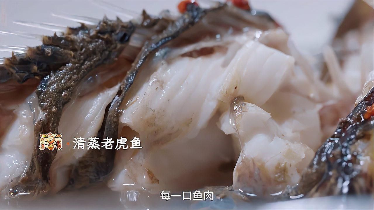 老虎魚短視頻