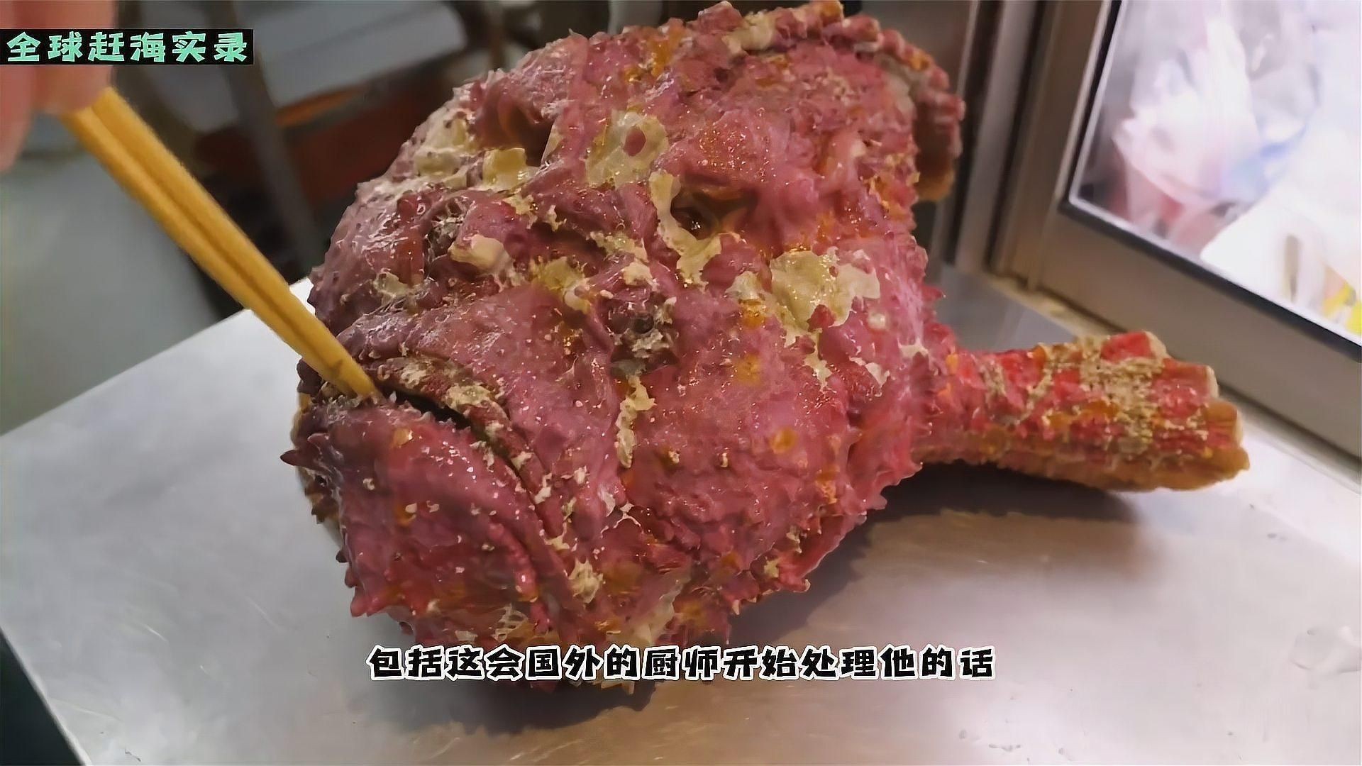 老虎魚短視頻
