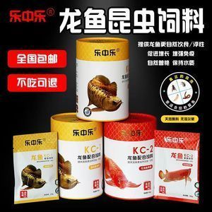 龍魚不吃魚苗能堅持多久喂食
