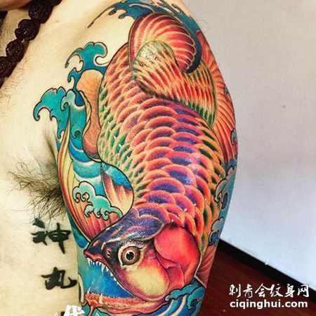 龍魚混養會掉眼嗎：如何預防龍魚掉眼