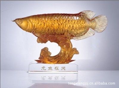 深圳龍魚批發，深圳龍魚批發市場
