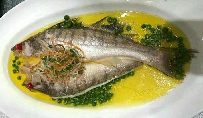 天山龍魚是什么魚種圖片
