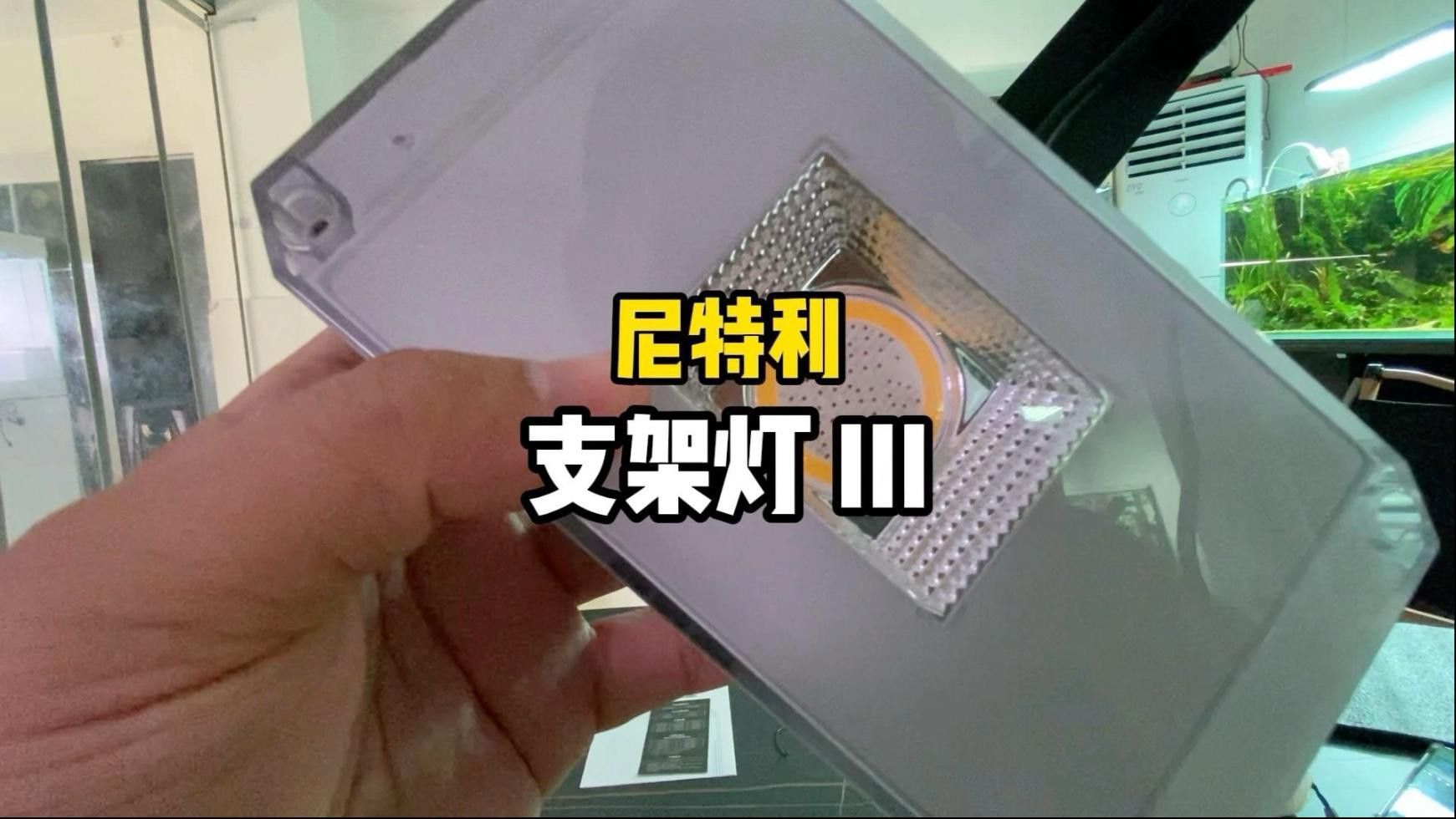 推薦幾款適合龍魚的燈