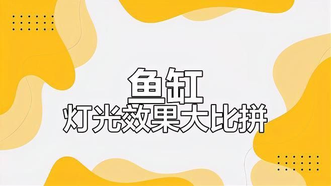 推薦幾款適合龍魚的燈