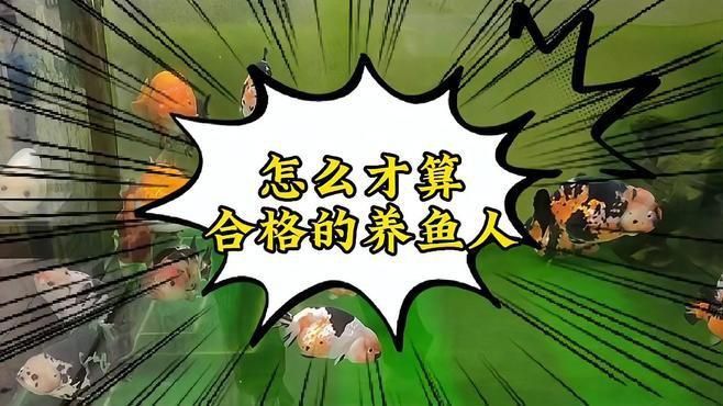 如何判斷自己是否適合養(yǎng)魚(yú)？