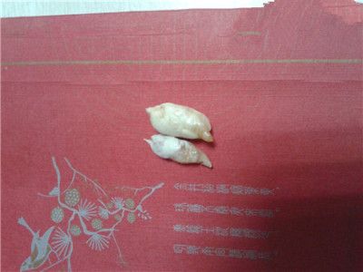 魚寶價值多少錢一克