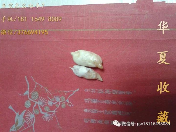魚寶價值多少錢一克