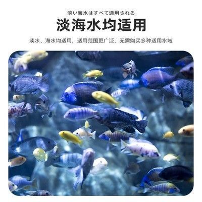 龍魚用藥哪個牌子好用又實惠：龍魚用藥品牌選擇指南