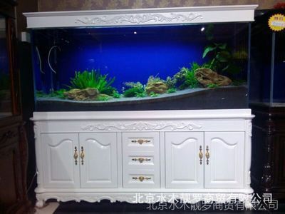 養龍魚合適的魚缸尺寸取決于龍魚的種類及其成長階段：養龍魚合適的魚缸大小取決于龍魚的種類及其成長階段