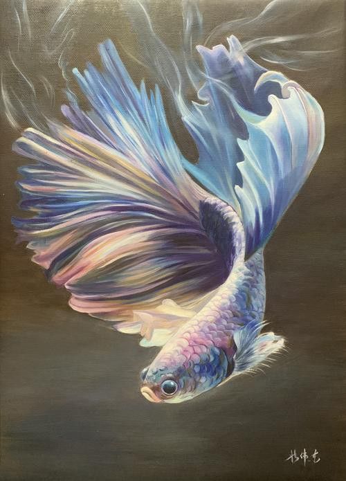 小紅龍魚圖片大全大圖高清壁紙