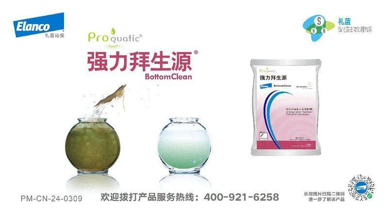 金鯧魚市場價多少一斤