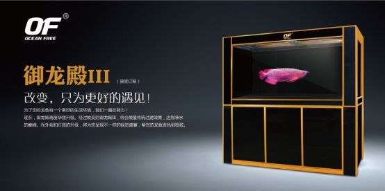龍魚燈管好還是led燈好看些：龍魚燈和led哪個好