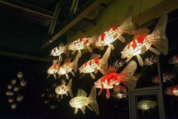 龍魚燈管好還是led燈好看些：龍魚燈和led哪個好