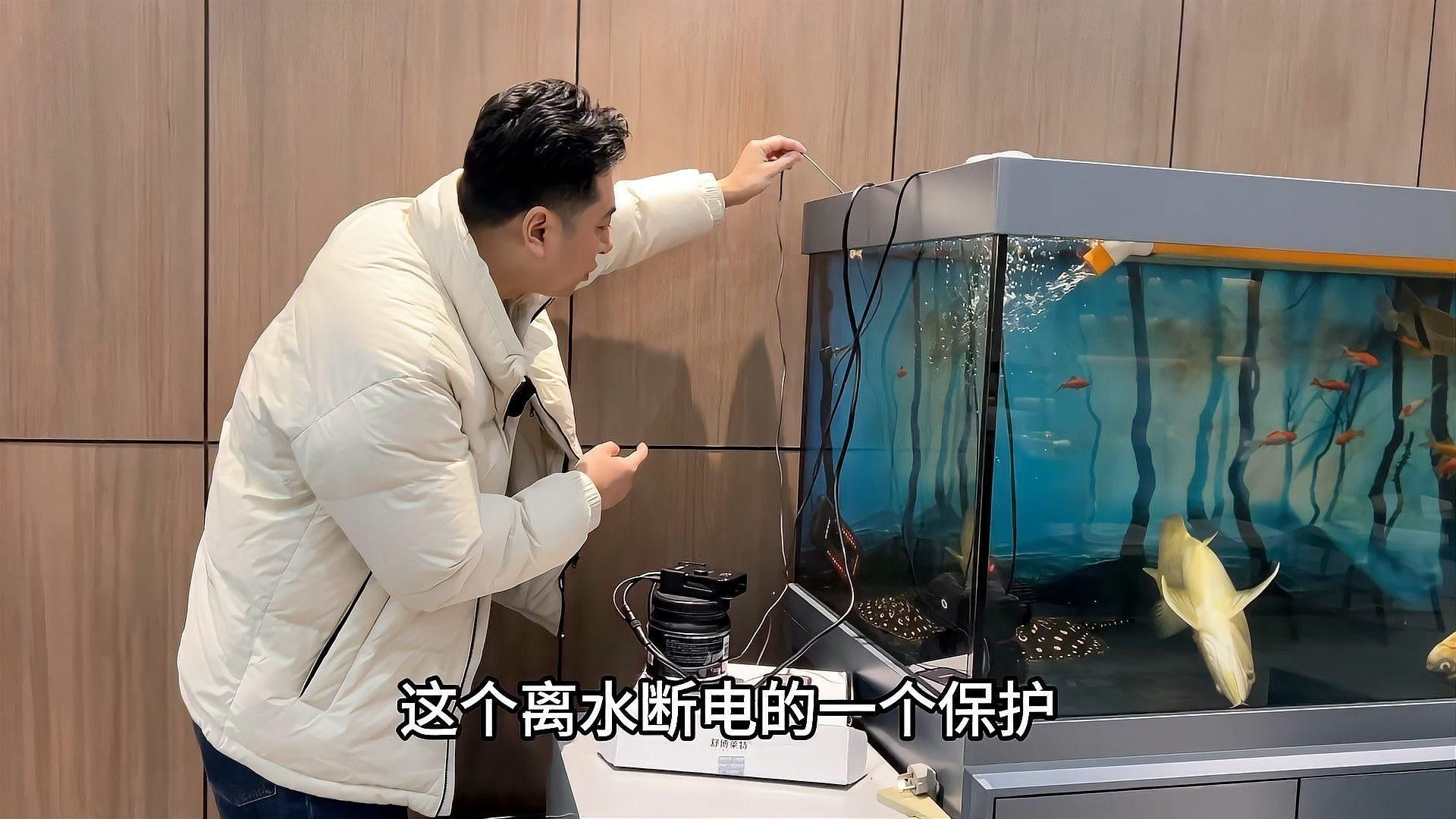 如何判斷龍魚是否需要急救？
