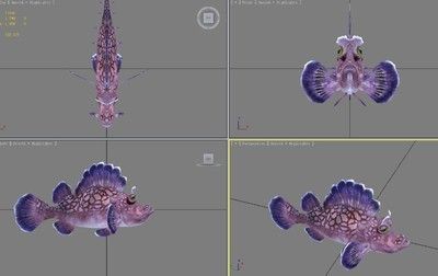 羅非魚可以和金龍魚一起養嗎？：金龍魚和羅非魚可以混養但需要注意以下幾點