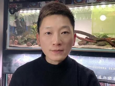 新買的雷龍魚趴缸正常嗎