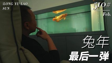 龍魚老孫的可信度分析（龍魚老孫在社交媒體平臺上擁有一定權威和專業知識）