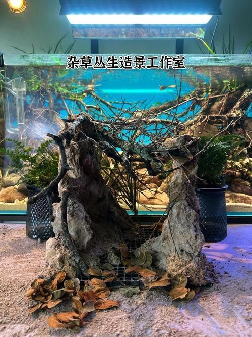 雷龍魚缸造景圖片大全大圖