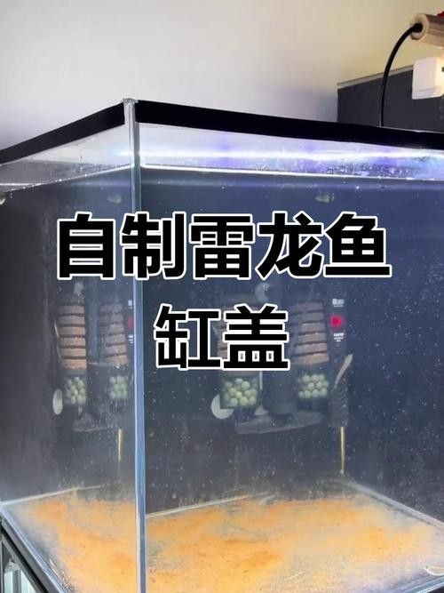 雷龍魚缸造景圖片大全大圖