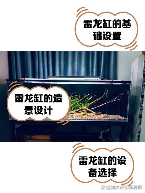雷龍魚缸造景圖片大全大圖