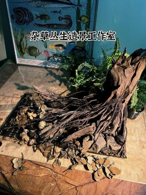 雷龍魚缸造景圖片大全大圖