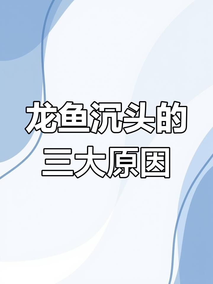如何預防龍魚沉頭？